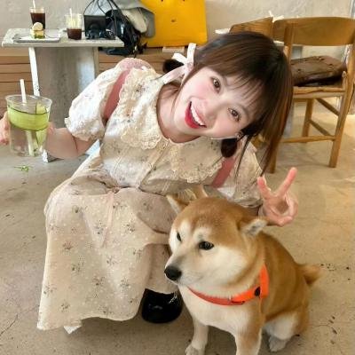 远方的狗吠声